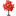 Christmas Poinsettia Flower Tree Light-Next Deal Shop-Next Deal Shop